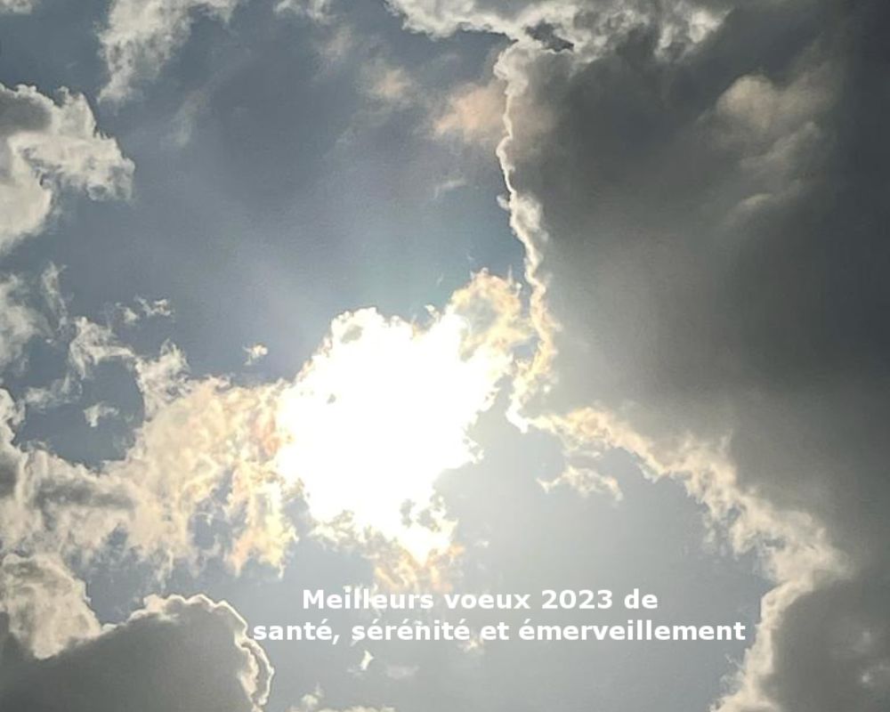 Meilleurs voeux 2023